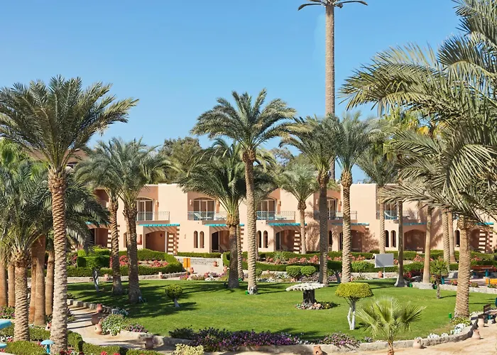 Resort Club Paradisio El Gouna Red Sea 4*
